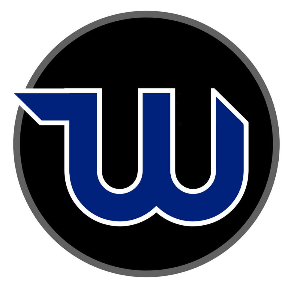WizTech Pro logo